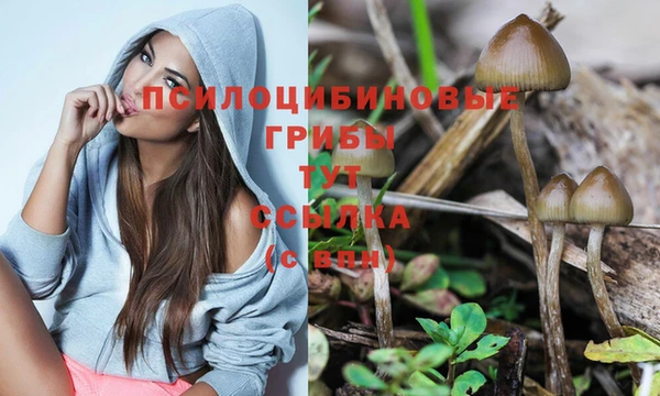 сатива Алексеевка