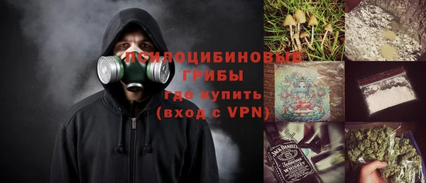 крисы Алзамай